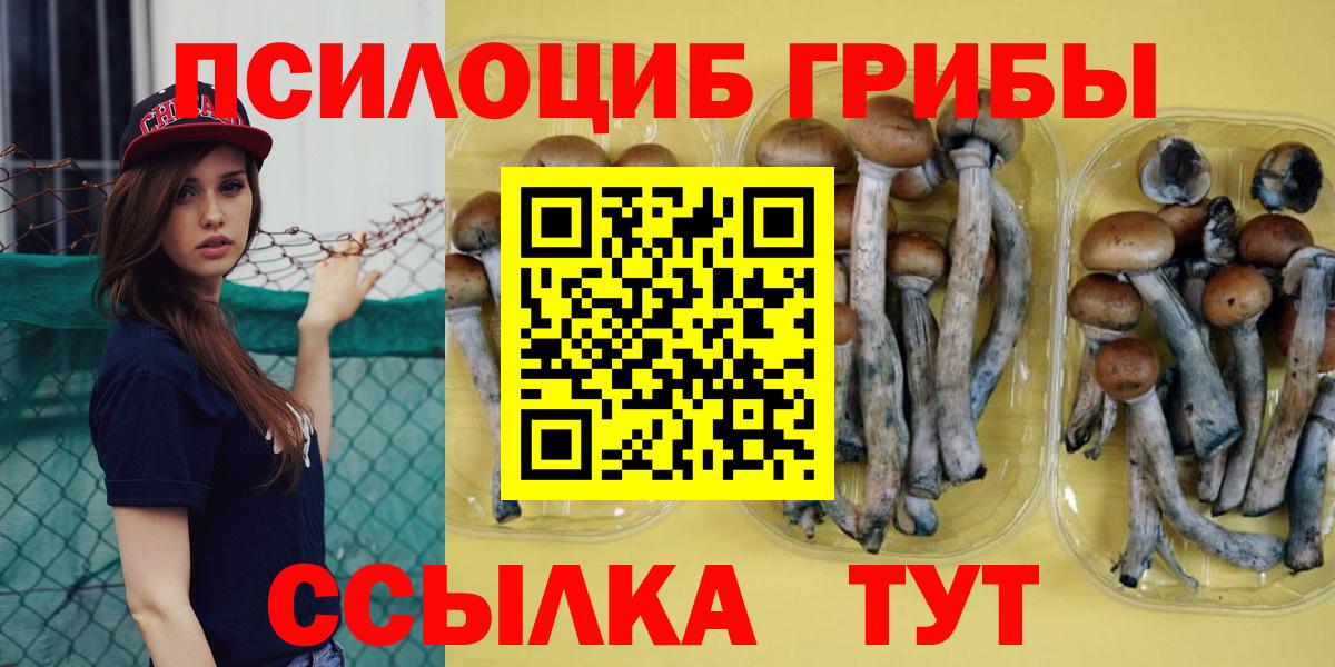 Галлюциногенные грибы прущие грибы  Галлюциногенные грибы MAGIC MUSHROOMS  Реутов  Вход с VPN 