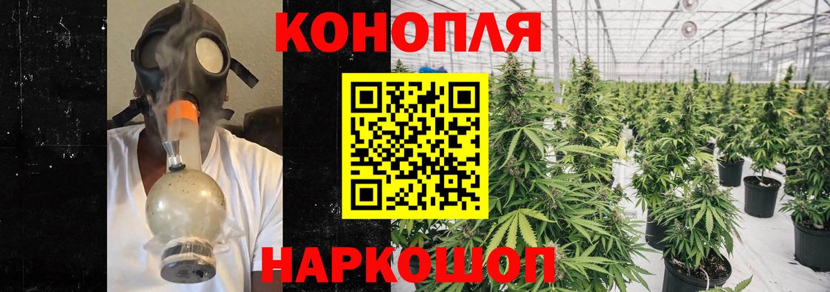 Шишки марихуана гибрид Реутов
